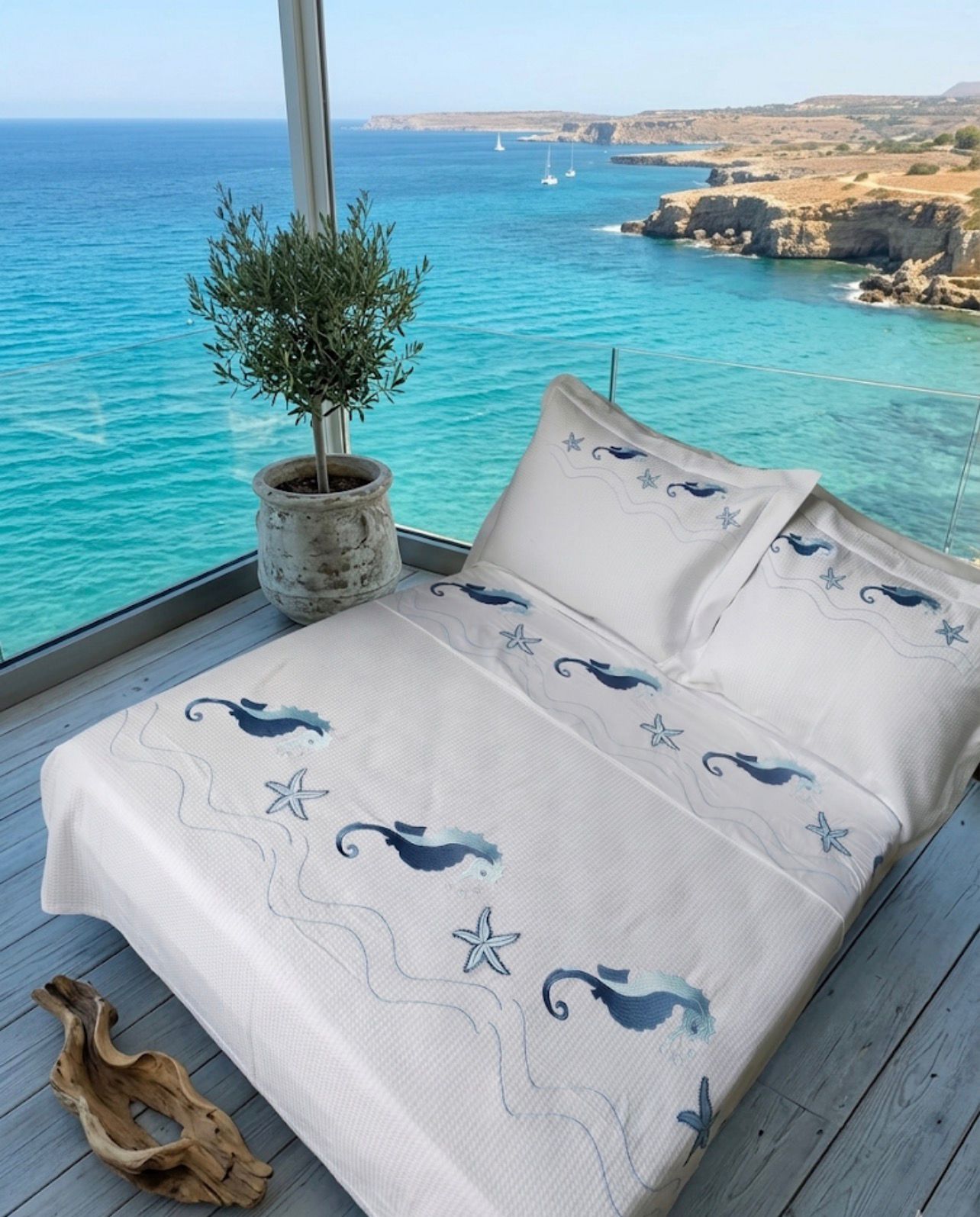 sea horse summer cover